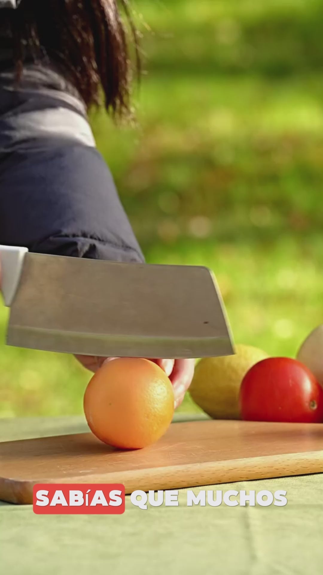 VITAMASTER PRO: Extractor de Jugos de Presión en Frío